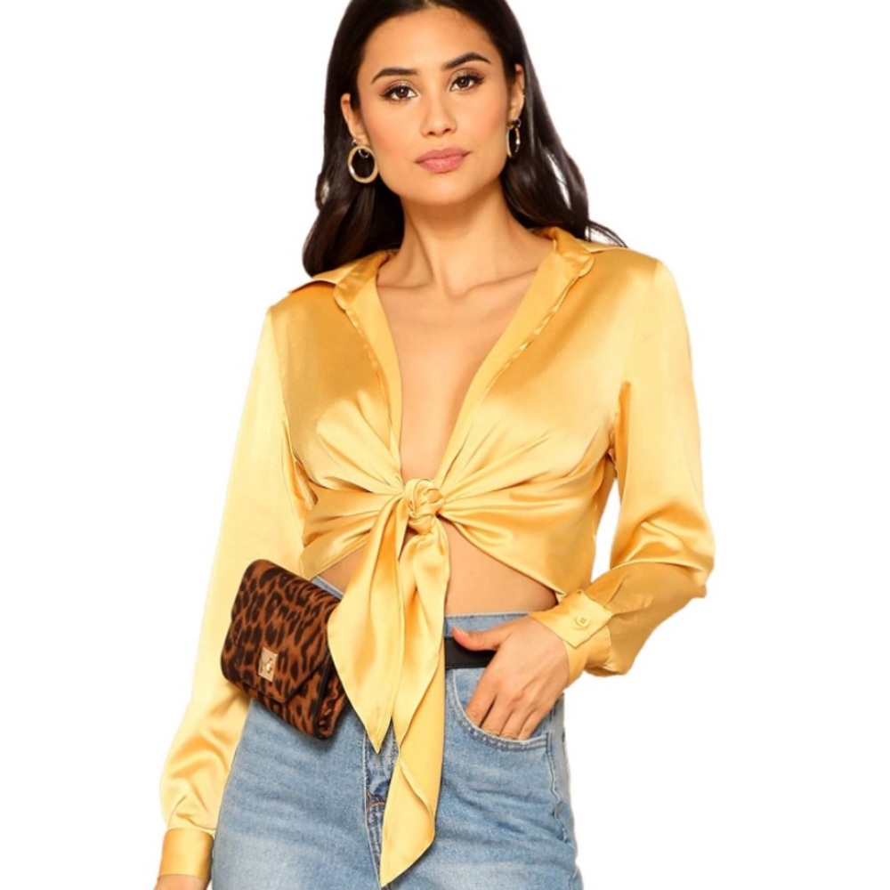 Satin Long Sleeve Self Tie Front Knot Blouse
